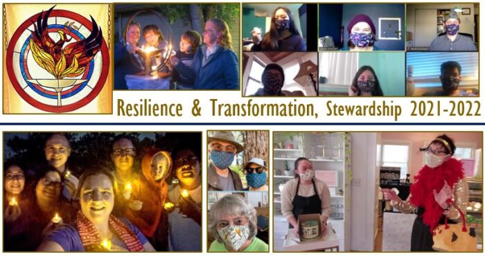 Stewardship 2021-22. Resilience & Transformation